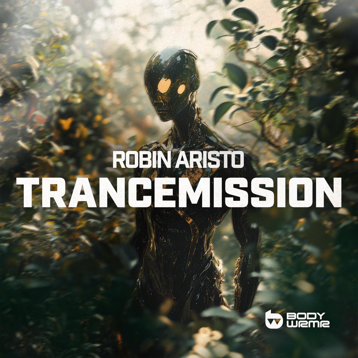 “Trancemission” is out now everywhere! Stream it on your favourite platform &amp; let me know what you think! 👇🏻
Stream/Download: lnk.to/robinaristo_tr…