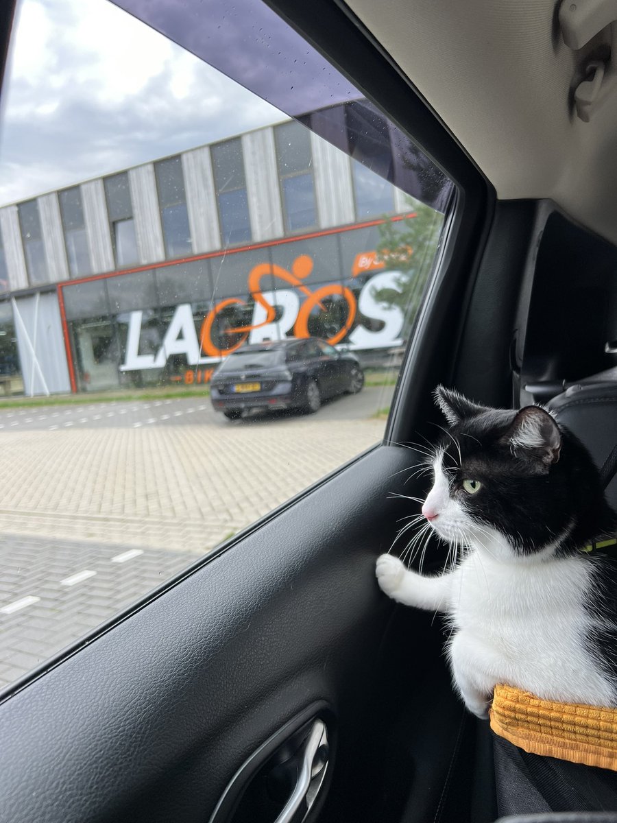 ci31pet's tweet photo. Fiets ter reparatie wegbrengen na klein ongelukje.
Biyou ook mee.
#LaCros #schijndel #vakantie https://t.co/5yNzLPwk4L