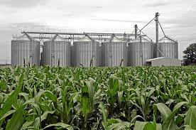 Government-led initiatives such as borehole drilling, irrigation development, dam construction, and the Pfumvudza/Intwasa program are key to ensuring the nation achieves food security.
#FoodSecurity Everywhere, Everyday