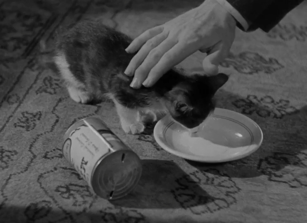 Fuzzy Gerdes tweet media