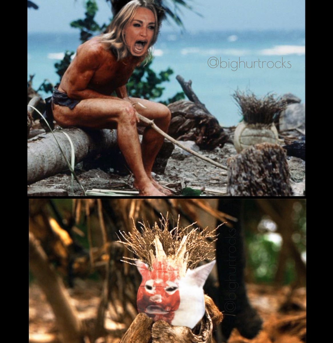 bighurtrocks's tweet photo. In honor of the Haitians eating peoples cats in Springfield OH, here are my four favorite #tablecat memes. https://t.co/L2kmxXRs33