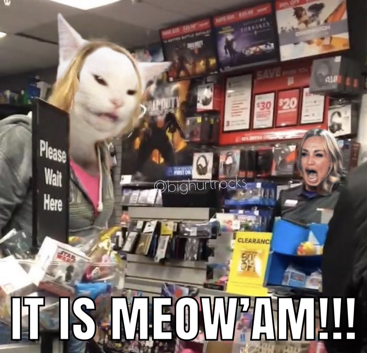 bighurtrocks's tweet photo. In honor of the Haitians eating peoples cats in Springfield OH, here are my four favorite #tablecat memes. https://t.co/L2kmxXRs33
