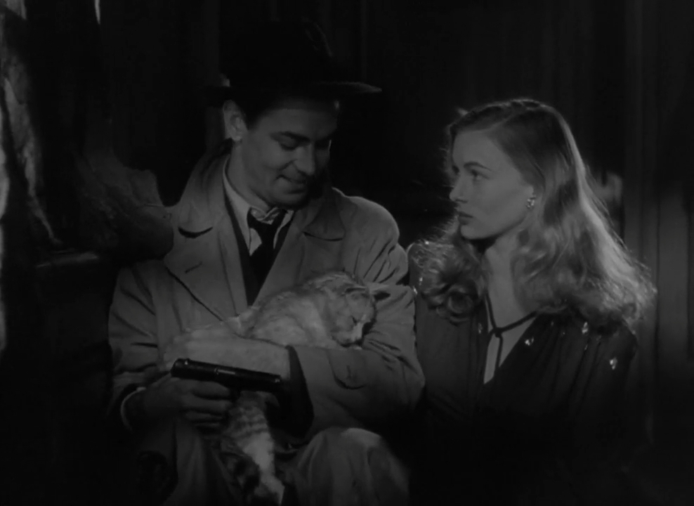 Fuzzy Gerdes tweet media