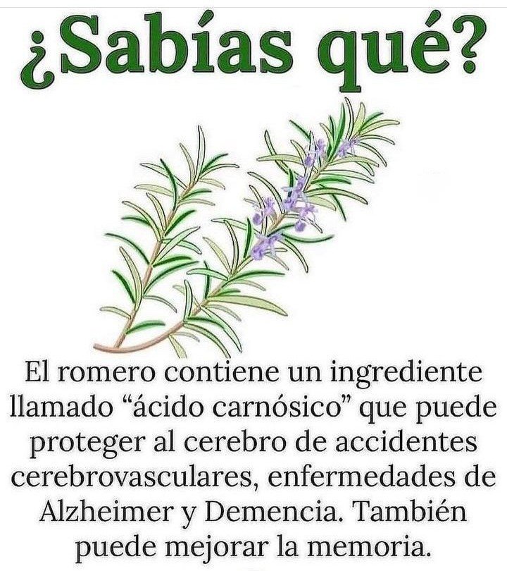 ✨💫🌿☀️Tip Salud☀️🌿💫✨

✨¿SABÍAS QUÉ?✨

*Regálame un Gracias así se que me lees y te gusta mi contenido*
