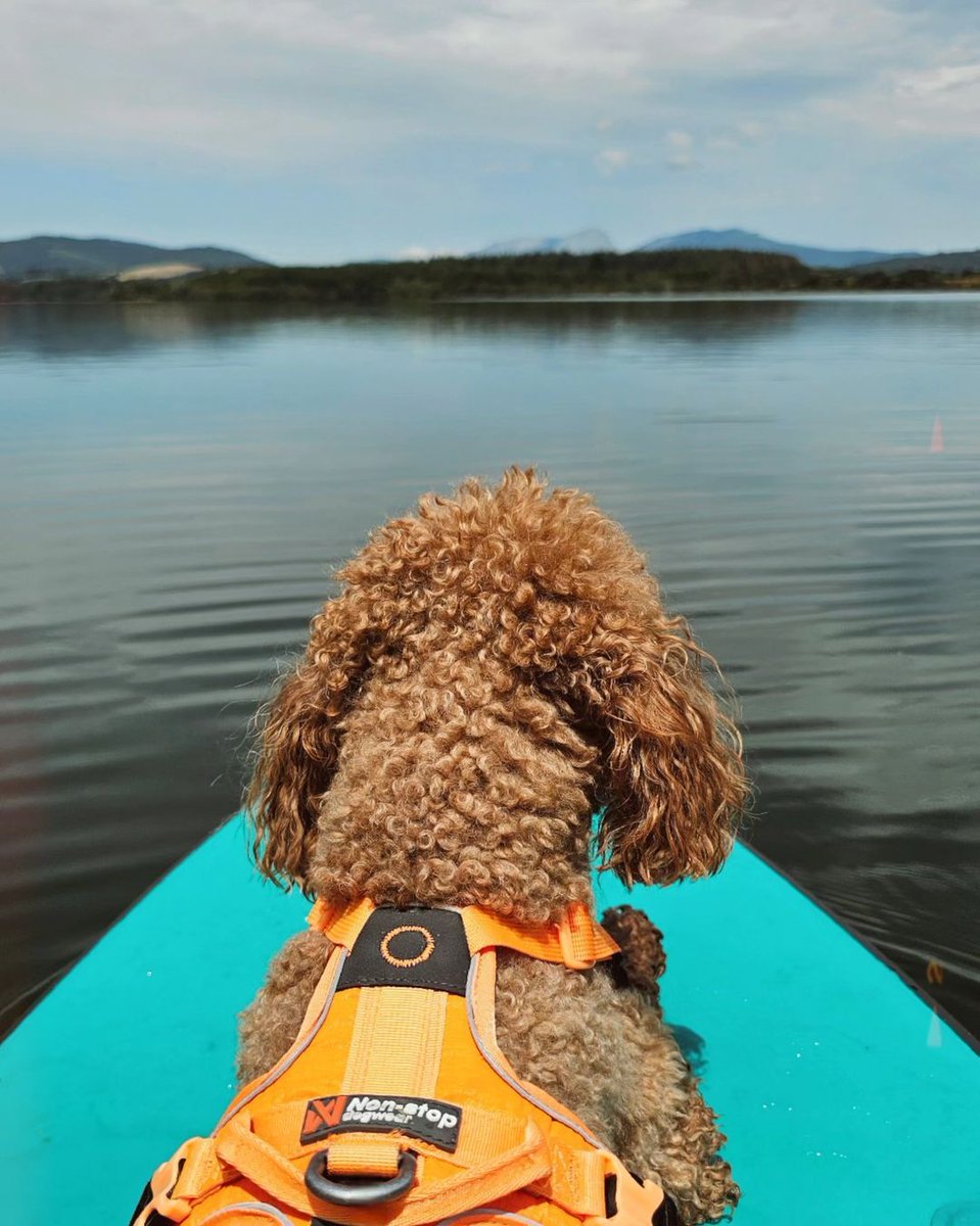 Álava Turismo tweet media