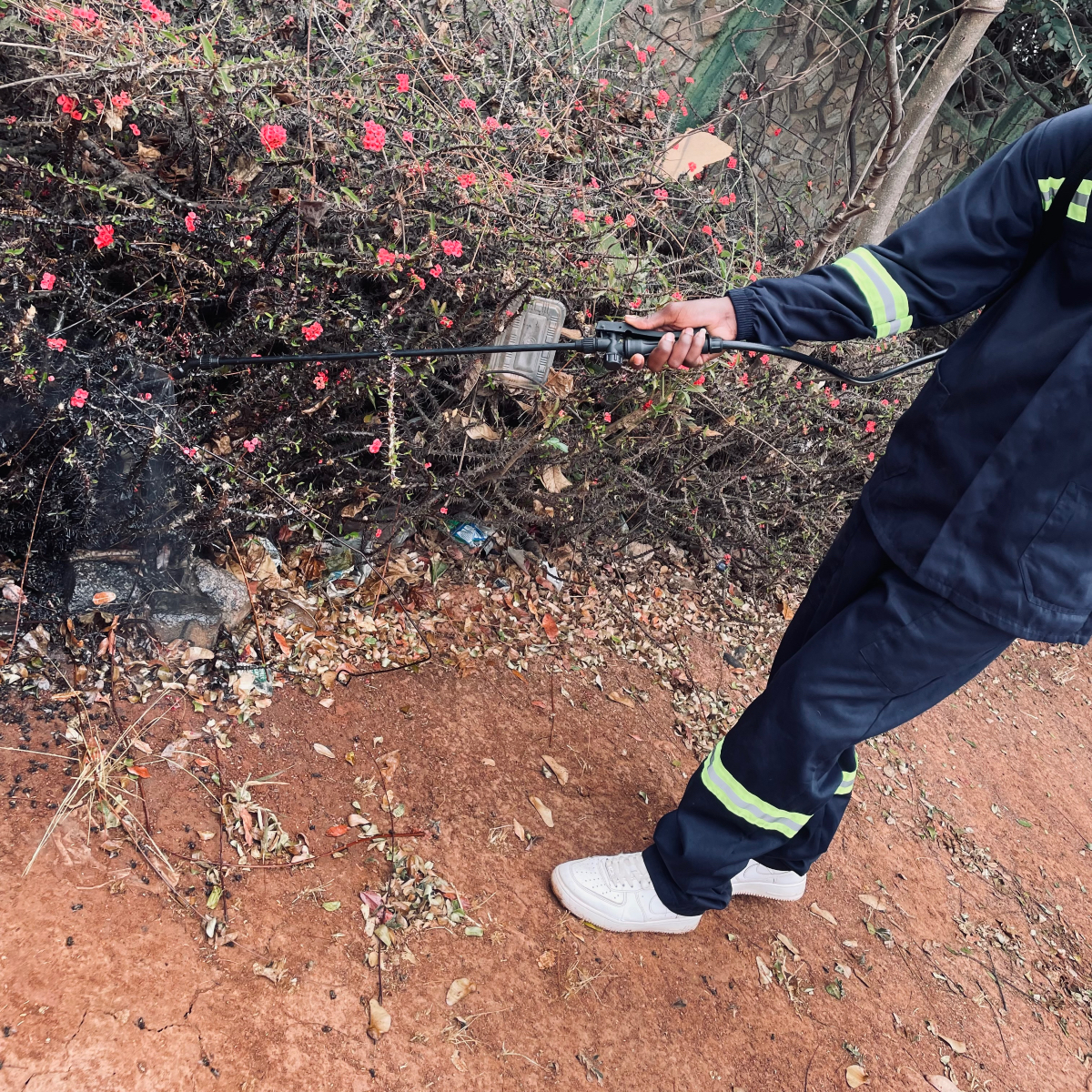 pestexperts_zw's tweet image. Get a thorough inspection, targeted treatment, and a proactive prevention plan with Pest Experts And Fumigators. Ensure your home is pest-free and protected long-term.

Contact us today for your tailored treatment plan!

#pestcontrol #pestmanagement #pestsolutions #pest