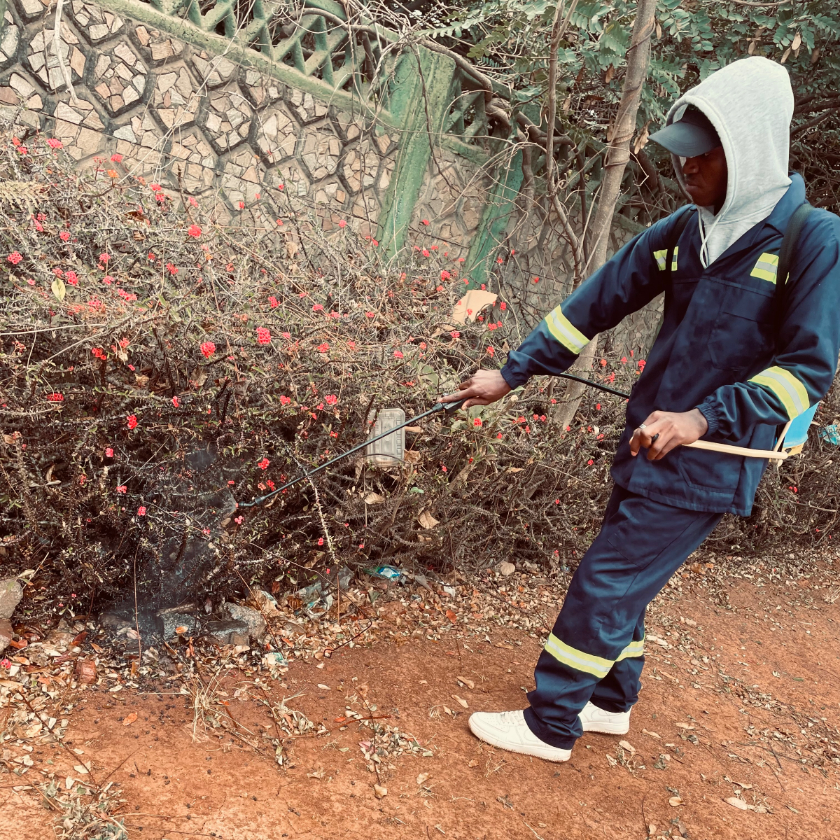 pestexperts_zw's tweet image. Get a thorough inspection, targeted treatment, and a proactive prevention plan with Pest Experts And Fumigators. Ensure your home is pest-free and protected long-term.

Contact us today for your tailored treatment plan!

#pestcontrol #pestmanagement #pestsolutions #pest