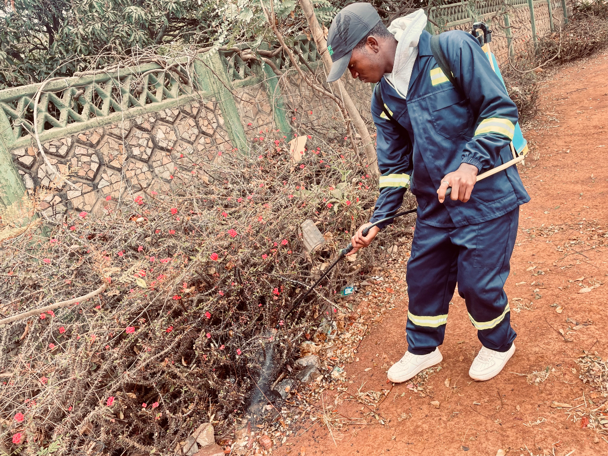 pestexperts_zw's tweet image. Get a thorough inspection, targeted treatment, and a proactive prevention plan with Pest Experts And Fumigators. Ensure your home is pest-free and protected long-term.

Contact us today for your tailored treatment plan!

#pestcontrol #pestmanagement #pestsolutions #pest