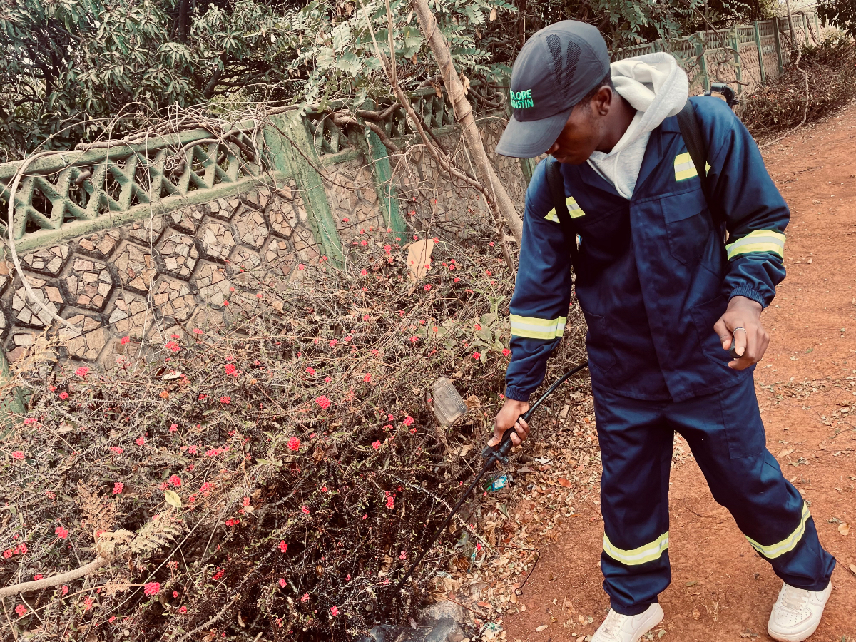 pestexperts_zw's tweet image. Get a thorough inspection, targeted treatment, and a proactive prevention plan with Pest Experts And Fumigators. Ensure your home is pest-free and protected long-term.

Contact us today for your tailored treatment plan!

#pestcontrol #pestmanagement #pestsolutions #pest