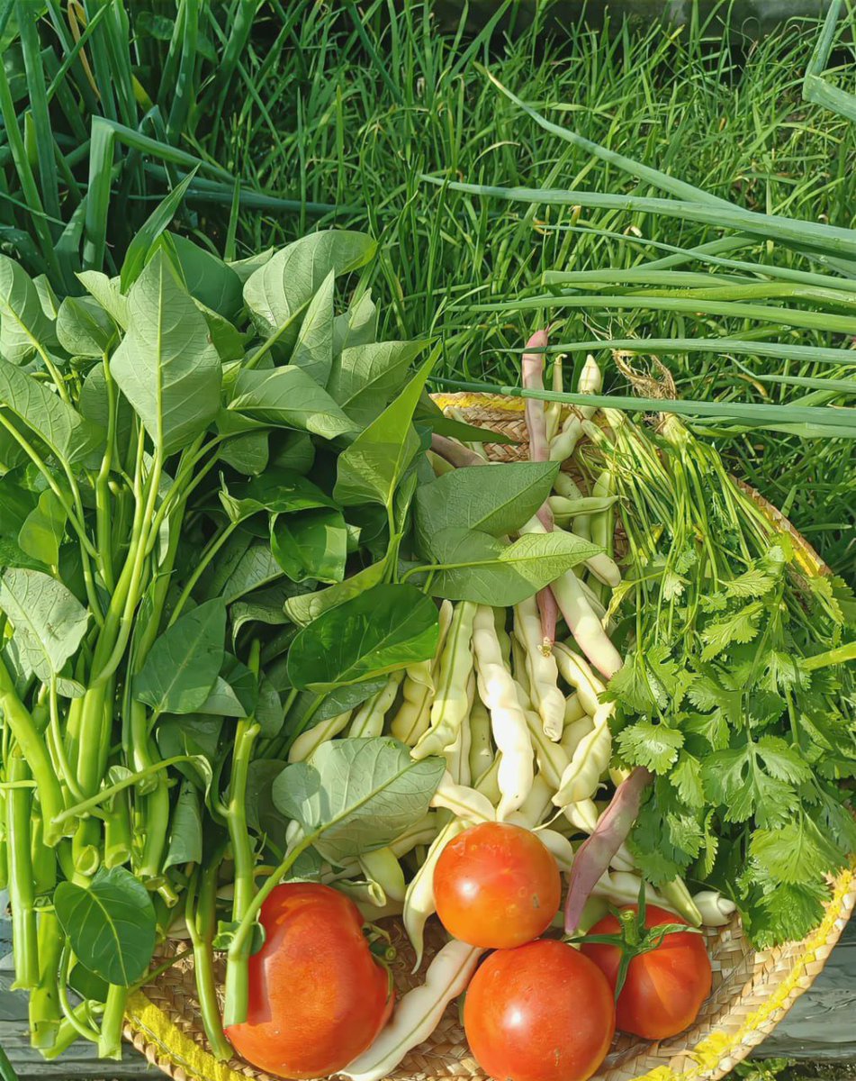 DubosMarie's tweet image. #countryside #life #healinglandscape #idylliclife