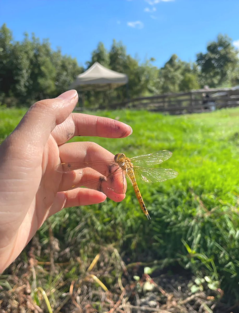 DubosMarie's tweet image. #countryside #life #healinglandscape #idylliclife