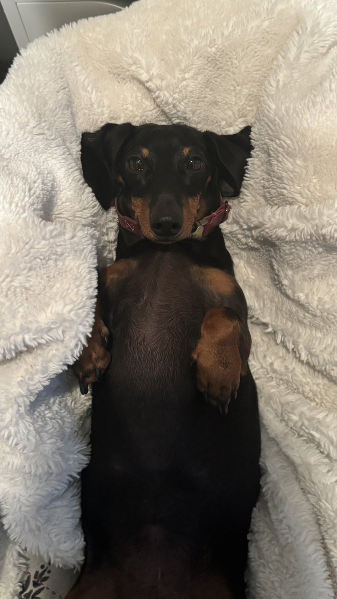 Good morning. Here’s a picture to better your Monday.