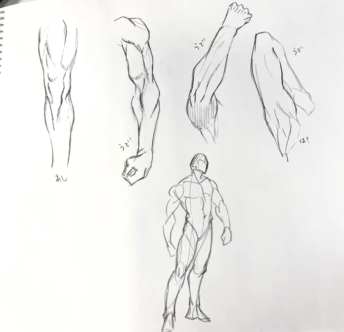 ちょっと筋トレした ぜーんぜんわからん