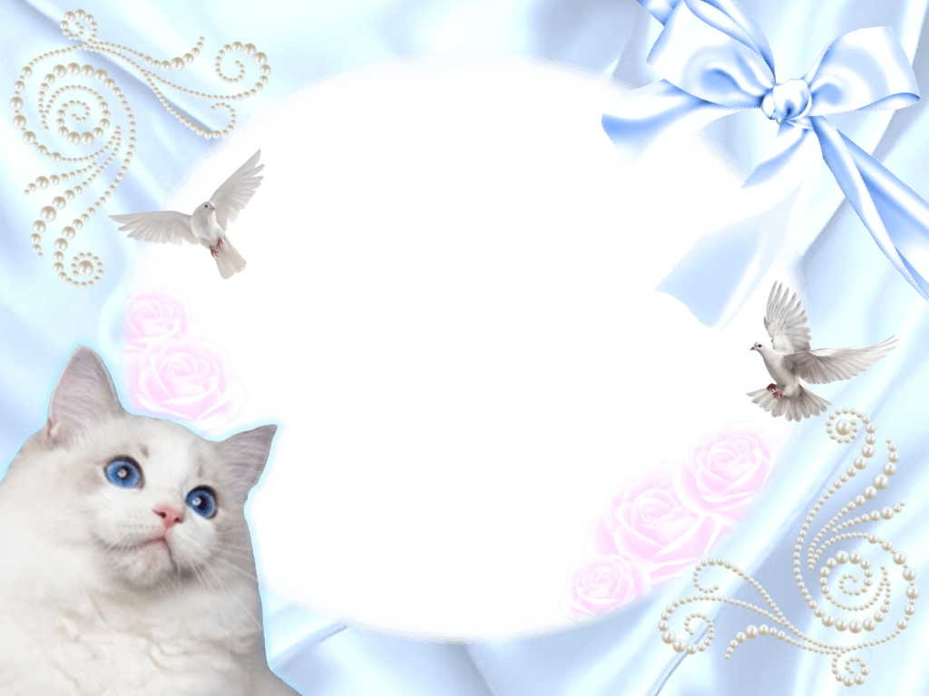 ꜱɪøи tweet media