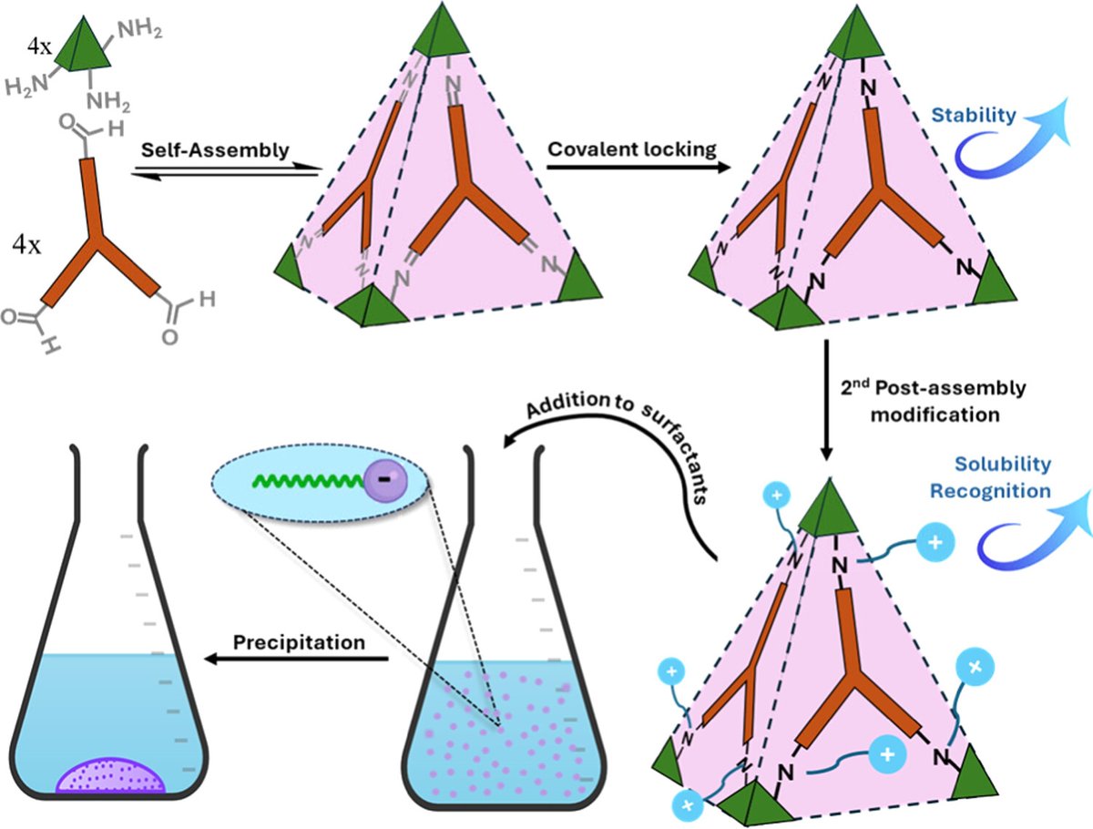 NanoSelf (@nanoselflab) on Twitter photo Good Monday! We want to share with you this recent publication, on how to synthesize and use molecular cages to trap surfactants. Congrats to <a href="/mariapferreiro/">María Pérez Ferreiro</a> et al.
doi.org/10.1021/acs.ch… Good Monday! We want to share with you this recent publication, on how to synthesize and use molecular cages to trap surfactants. Congrats to <a href="/mariapferreiro/">María Pérez Ferreiro</a> et al.
doi.org/10.1021/acs.ch…