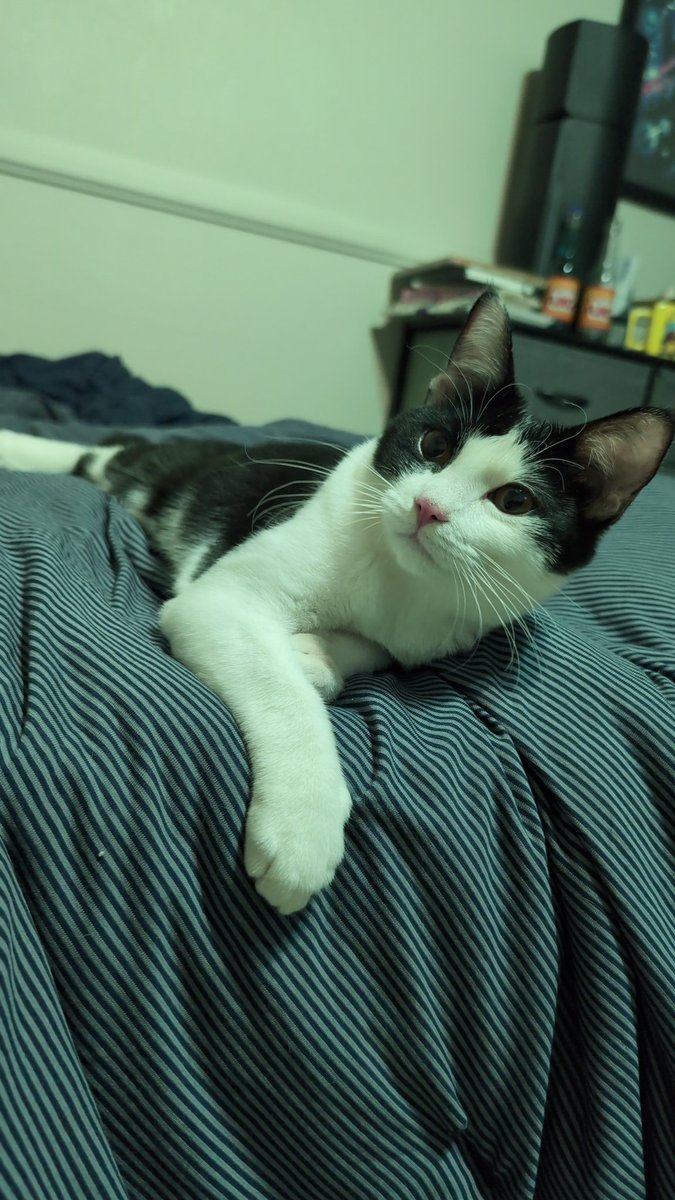 Network50_'s tweet image. MAX!