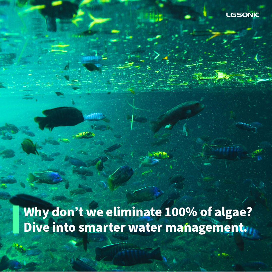 Ultrasound treatment is an environmentally friendly solution we use to effectively reduce algae concentrations by up to 90%.  But why don't we eliminate algae completely? 

Discover here: lgsonic.com/why-dont-we-co…

#watermanagement #algaecontrol #algalblooms