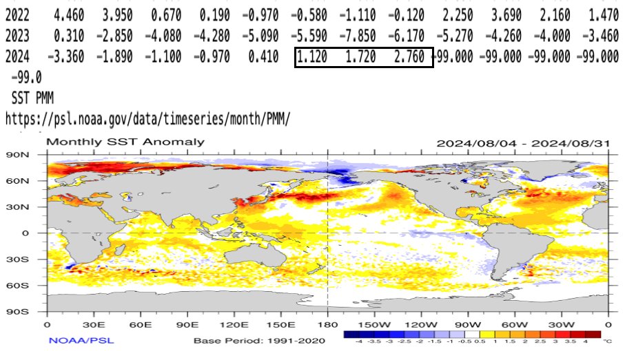 Jason Nicholls 💙 tweet media