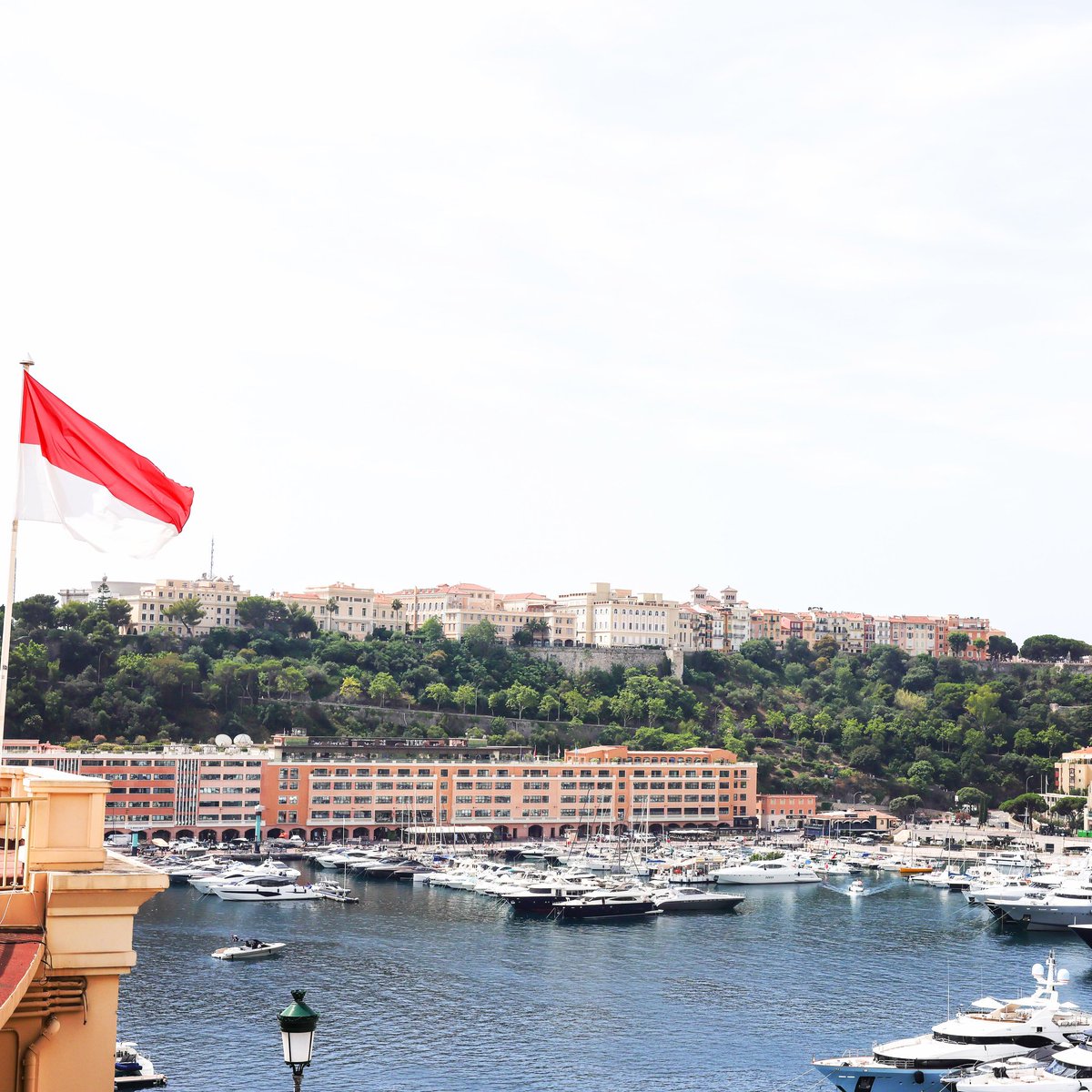 Caroli Com tweet media