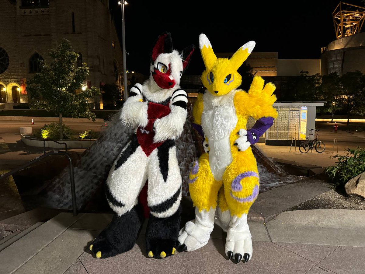 Jishin_Dragon's tweet photo. Look at the cute little Renamon~

Rena: @RealLifeRenamon https://t.co/znVnL7vyF4
