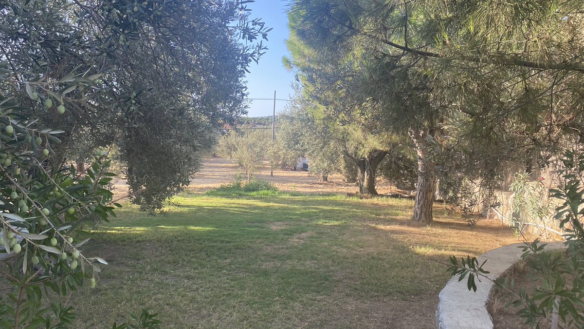 Bir gün aklına gelecek olursam, bana şiir ısmarla. Eylül'ü konuşalım. 

#bozcaada #eylül #tatil