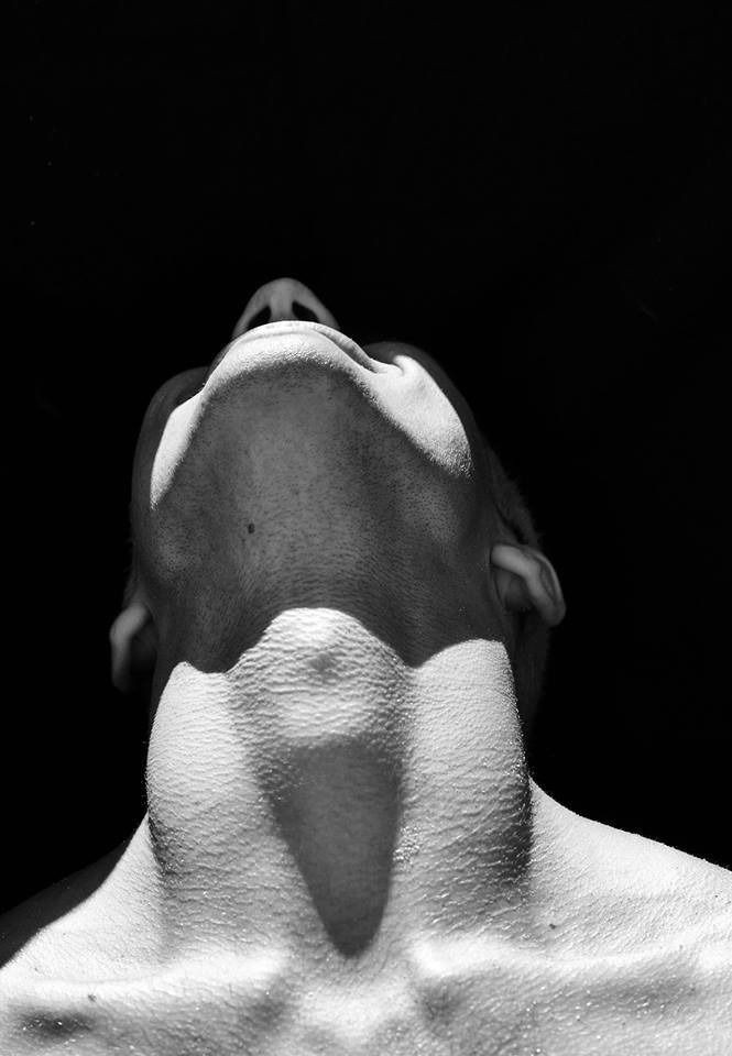 Hirudinea_ (semi rest) tweet media