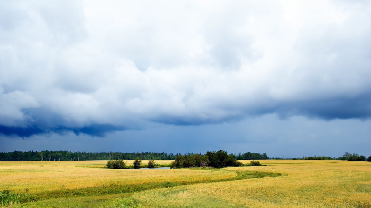 The community of ALUS Saddle Hills is officially launched in Wild Rose Country.🌹  This represents the 18th ALUS community in Alberta. 
alus.ca/alus_news_and_… <a href="/saddlehillsab/">Saddle Hills County</a> #Alberta