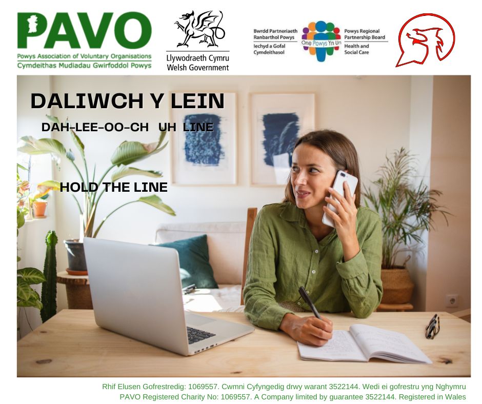 Prynhawn da! Dyma ymadroddiad yr wythnos hon. 
Here is this week's phrase. 

#ycynnigrhagweithiolpowys #theactiveofferpowys #dysgucymraeg #siaradcymraeg #powys #pavopowys