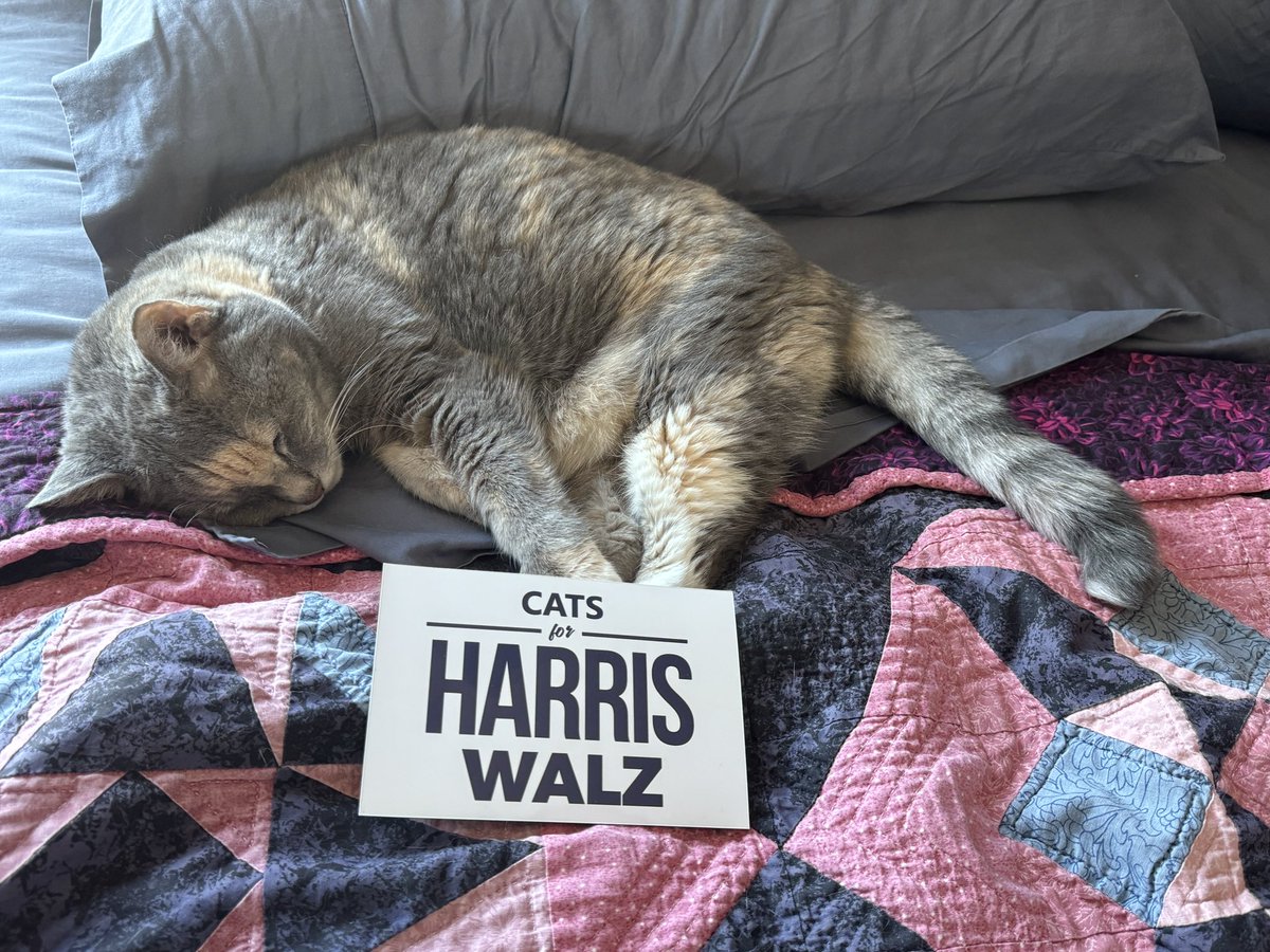 CatMeekay's tweet photo. Rest easy with Harris &amp; Walz. https://t.co/bQLfSp6DYD