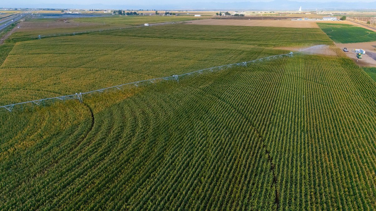 JordonWade.bsky.social (@jordon_wade) on Twitter photo The Syngenta Global Soil Health Team is looking for *two* US-based #SoilHealth interns for summer 2025. Its a dynamite team with exciting projects underway - we'd love for you to join us!
Details in links below.
<a href="/mwallenstein/">Matt Wallenstein</a> <a href="/NDsoilhealth/">Dr. Abbey Wick</a> <a href="/reb_daly/">Rebecca Daly</a> <a href="/RanaeDietzel/">Ranae Dietzel</a> <a href="/JasonNeffCU/">Jason neff</a> The Syngenta Global Soil Health Team is looking for *two* US-based #SoilHealth interns for summer 2025. Its a dynamite team with exciting projects underway - we'd love for you to join us!
Details in links below.
<a href="/mwallenstein/">Matt Wallenstein</a> <a href="/NDsoilhealth/">Dr. Abbey Wick</a> <a href="/reb_daly/">Rebecca Daly</a> <a href="/RanaeDietzel/">Ranae Dietzel</a> <a href="/JasonNeffCU/">Jason neff</a>