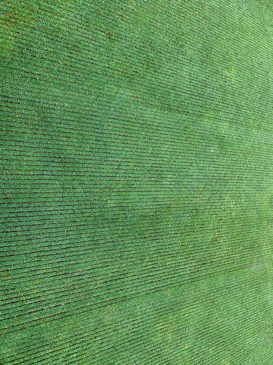 Wandlebury maintenance day 1 <a href="/gogmagog_golf/">The Gog Magog G.C.</a> club …. Too much going on to put into words, but here’s a few pics from today. <a href="/GogMagogTeam/">Gog Magog Estates Team</a> working hard as always to achieve the best for the club ⛳️ <a href="/SISISMachinery/">SISIS Machinery</a> <a href="/iseki_uk/">ISEKI UK</a>