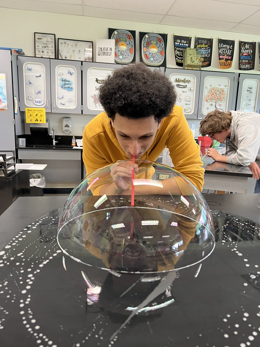 mrsgrulichlhs's tweet image. Learning standard deviation can be fun! #apbiology