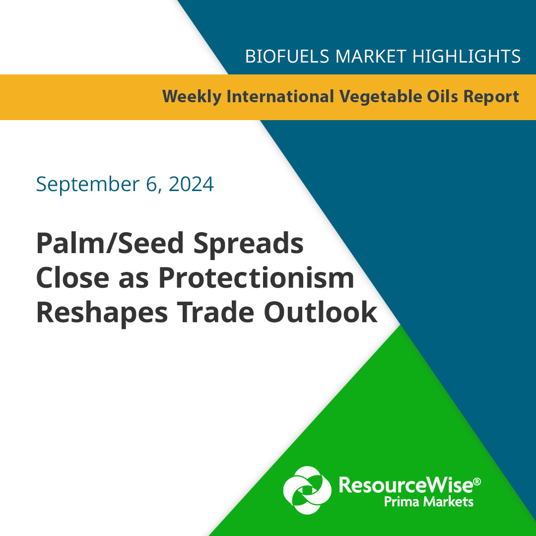 🌐 Palm/Seed spreads narrow as trade shifts under protectionism. 🇨🇦 China grabs over 25% of Canada's #canola crop, leaving farmers to explore new markets. One option: North America's crowded #RenewableDiesel space, which could push out more #SoybeanOil: bit.ly/4ehVoia