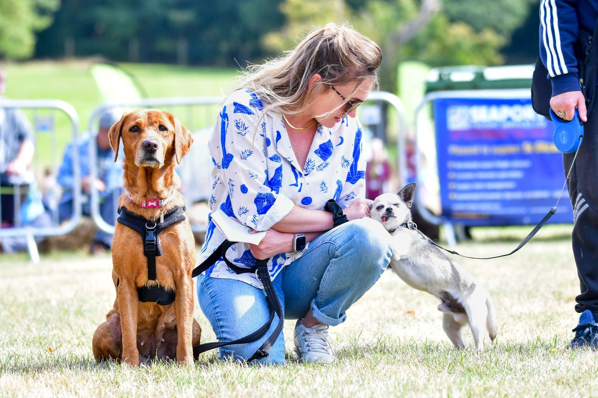 We're absolutely thrilled that yesterday's #SuffolkDogDay has raised over £70,000 for St Elizabeth Hospice! 🐾 Your generosity will make a huge difference to patients and families living with life-limiting illness across our region. 💜 Full story: bit.ly/47kUlvN