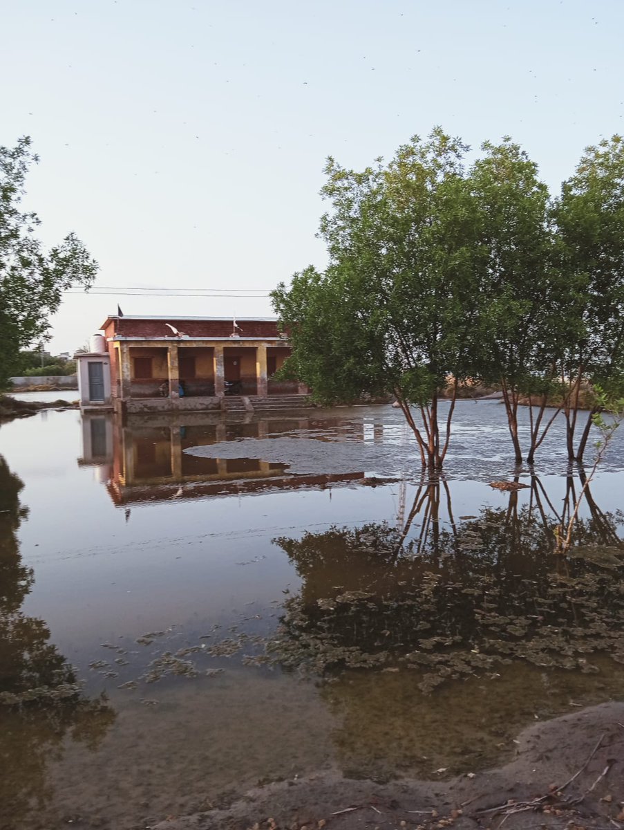 KhanzadiMurtaza's tweet photo. GBPS Yaqoob kapri underwater #FloodJhuddo2024 https://t.co/nM0VY7E4LS