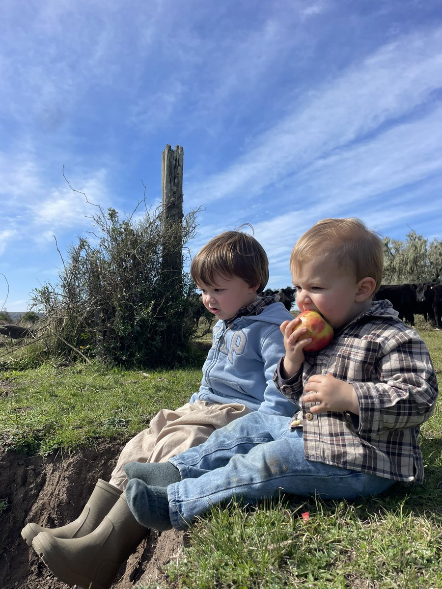 Eskerrik asko Aitona! Y qué sábado primaveral nos regalaste barba!