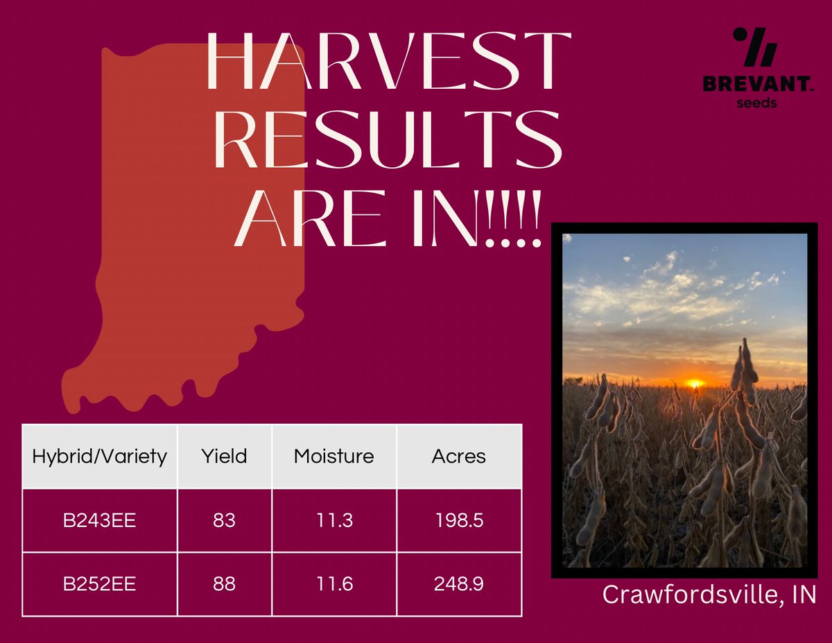 AlexieSchroede1's tweet photo. Harvest is just getting started, but these early beans are knocking it out of the park! @CortevaUS genetics through @BrevantseedsUS are making for another exciting year in West Central IN!!! https://t.co/xstjgQ1iK5
