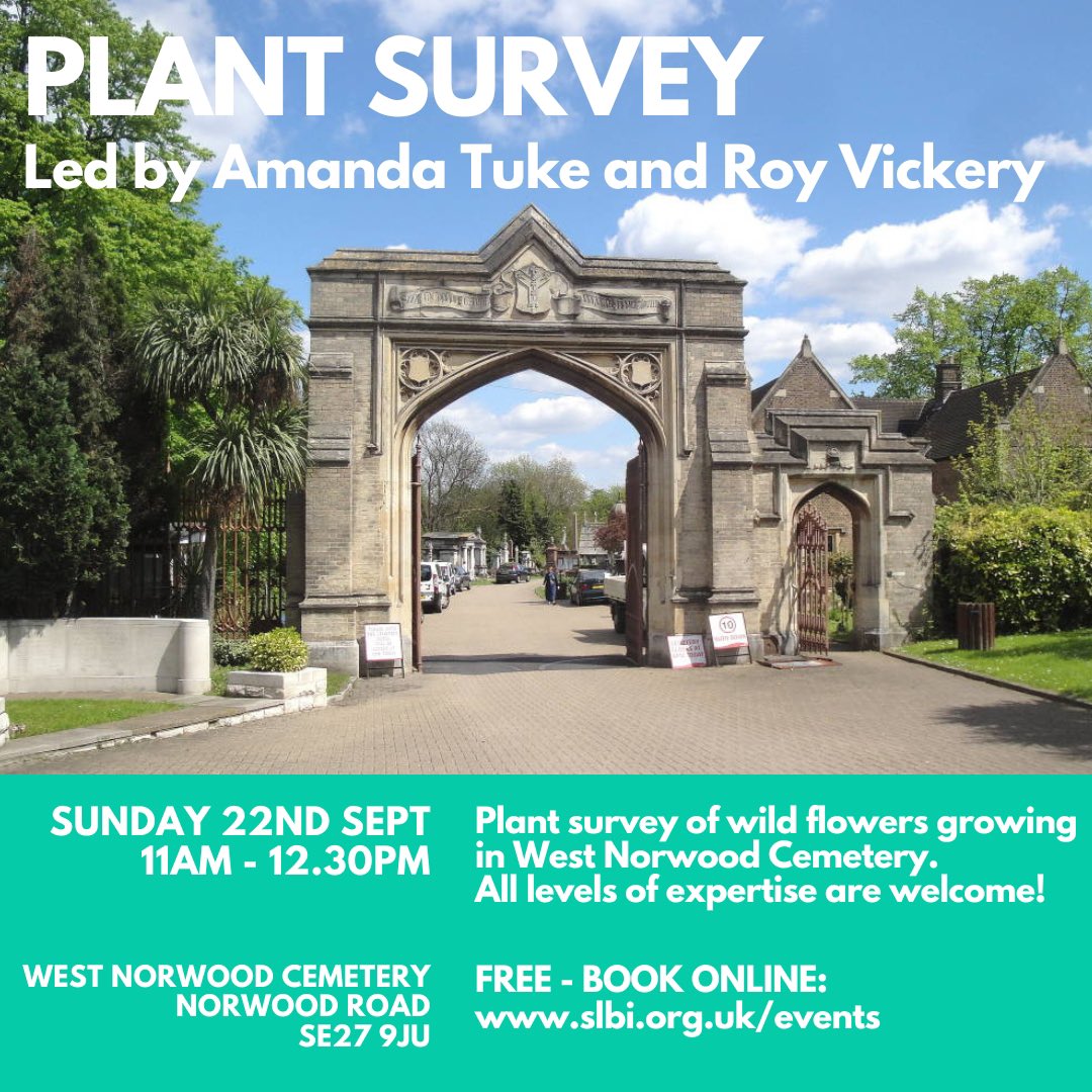 PLANT SURVEY in W.Norwood Cemetery, led by Amanda Tuke &amp; Roy Vickery, continuing a long-term survey of wild flowers in the cemetery.
Sunday 22nd Sept 11am - 12.30pm

ALL WELCOME!
Book: slbi.org.uk/event/west-nor…

#SLBI #WestNorwoodCemetery #wildflowers #plantsurvey #southlondon