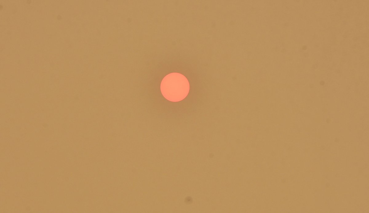 delpynews's tweet photo. ▶️APOCALÍPTICO | 😖

Los incendios en el Chaco, Brasil y Bolivia nos agobian con el insoportable humo.⚠️

Salud advirtió que la mala calidad del aire es perjudicial y aumenta el riesgo de enfermedades respiratorias, cardiacas e incluso accidentes cardiovasculares.🛑

📸UH https://t.co/m4DfyW4knG