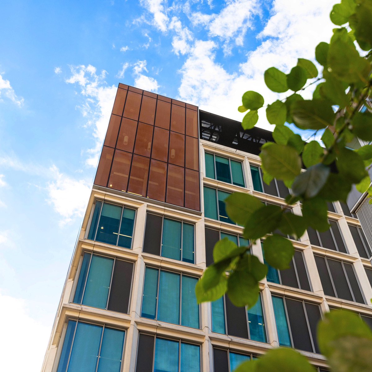 If you’re a new or returning student make sure you complete your online registration before Welcome Week so that you can access your timetable, receive your student ID card and are ready for the term ahead! 👩‍💻 

See more info: beds.ac.uk/welcome 👈
 
#UniofBeds #BeginAtBeds