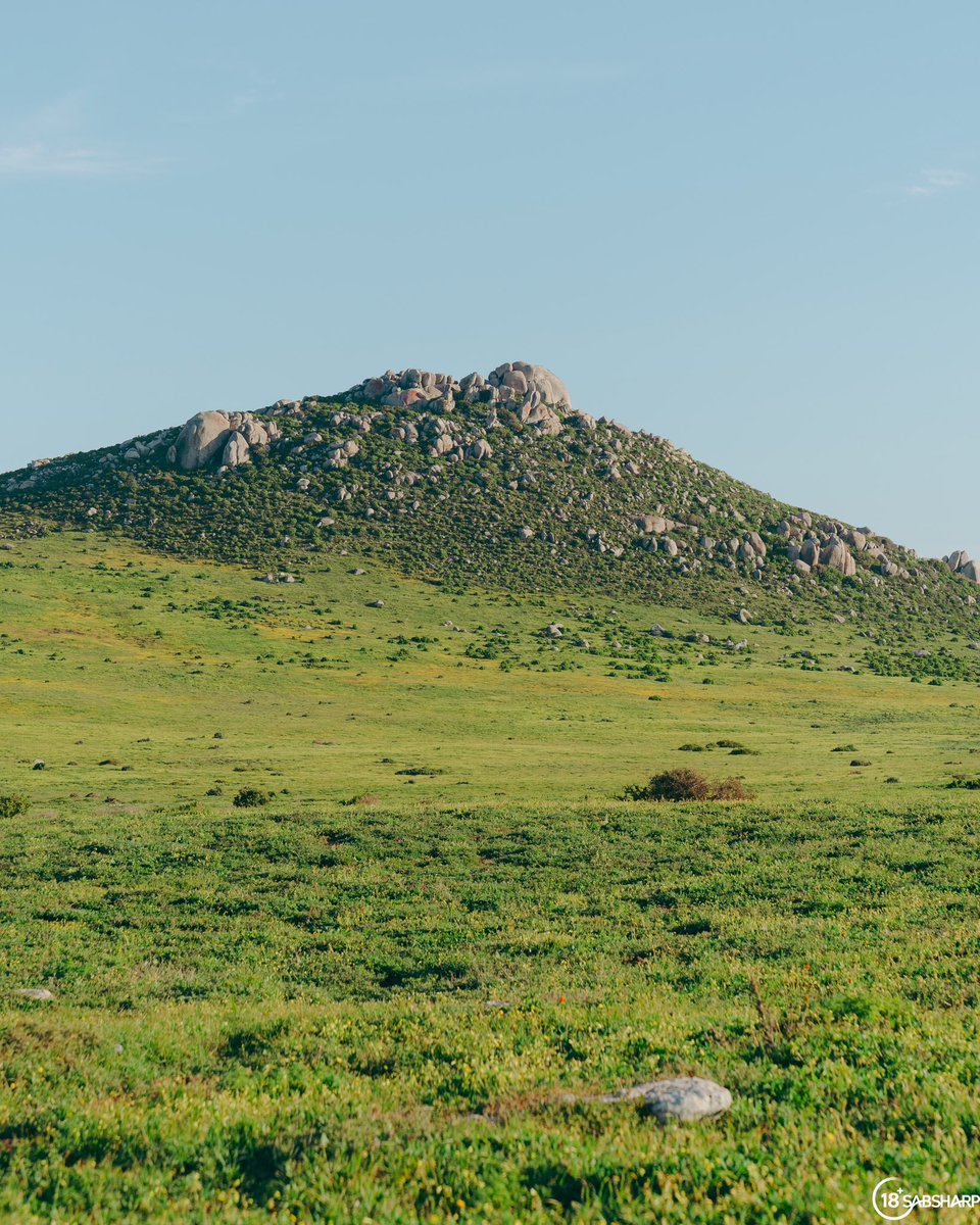 Soaking up Spring and all its beauty at West Coast National Park 🌼🌊 truly a sight to see around this time of year 💛 

#ThisIsLiving #ad