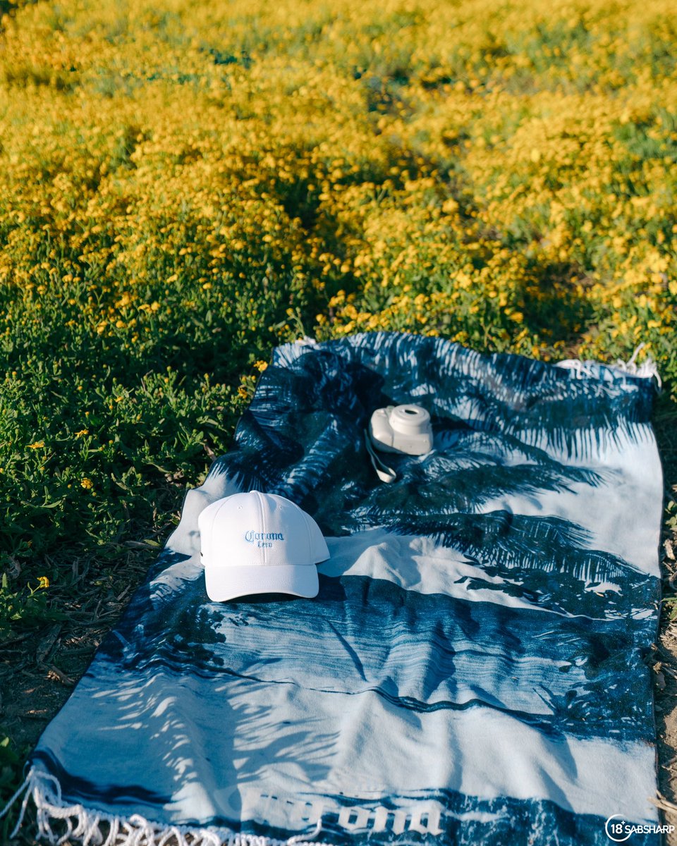 melissablanche_'s tweet photo. Soaking up Spring and all its beauty at West Coast National Park 🌼🌊 truly a sight to see around this time of year 💛 

#ThisIsLiving #ad https://t.co/ffVlnsIZDc