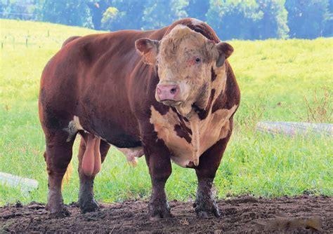 Jimmy 🦑 tweet media