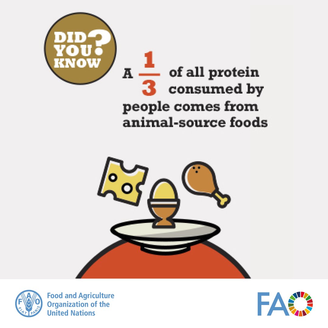 📢 Livestock provide a wide range of goods and services, including:

🍖 meat
🥛 milk
🥚 eggs
🐄 hides
🐑 fibers

🌎 Learn about global livestock systems and their impact!

➡️tinyurl.com/mue49ewe