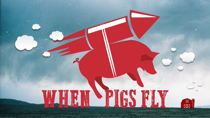 Crypto_Domainer's tweet image. $Pork will fly on International When Pigs Fly Day

#PigsDoFly!