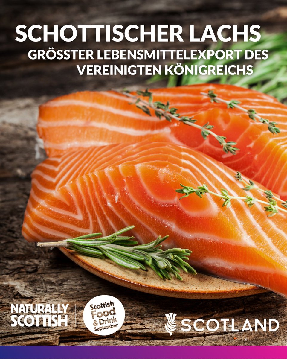 ScotGovGermany's tweet photo. Schottischer Lachs ist der größte Lebensmittelexport des Vereinigten Königreichs und wird in über 50 Ländern weltweit genossen. 🐟

In der ersten Jahreshälfte 2024 erzielten die Exporte einen Umsatz von £431 Mio.📈

Mehr dazu hier 👇 https://t.co/AYbcTFOZNZ

#NaturallyScottish https://t.co/4psHQcD0Ea