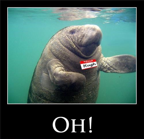 Oh! We didn't mean to surprise you, but Improv Against Humanity is coming up quickly at The Improv Centre and we just thought that you should know!

Let's get horrible on Thursday, September 19! Doors at 6:30 pm, show at 7 pm, and prizes to win too!

thefictionals.com/improv-against…