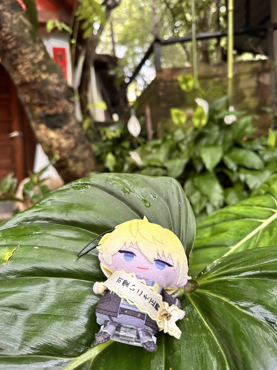 DAYUYOYO's tweet photo. 九月份
雨天出去玩的sonny

雨衣真的有夠可愛
我應該要多買的

#SonnyBrisko https://t.co/3a8NpslBFe