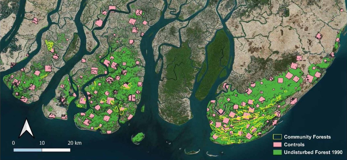 New research evaluates mangrove community forestry outcomes using synthetic control and field-based approaches:
 doi.org/10.1088/1748-9… via <a href="/IOPenvironment/">IOP Environment</a> <a href="/AgriForHelsinki/">Faculty of Agriculture and Forestry</a> <a href="/RECOFTC/">socialforestry</a> <a href="/MangroveProject/">Mangrove Action Project</a>