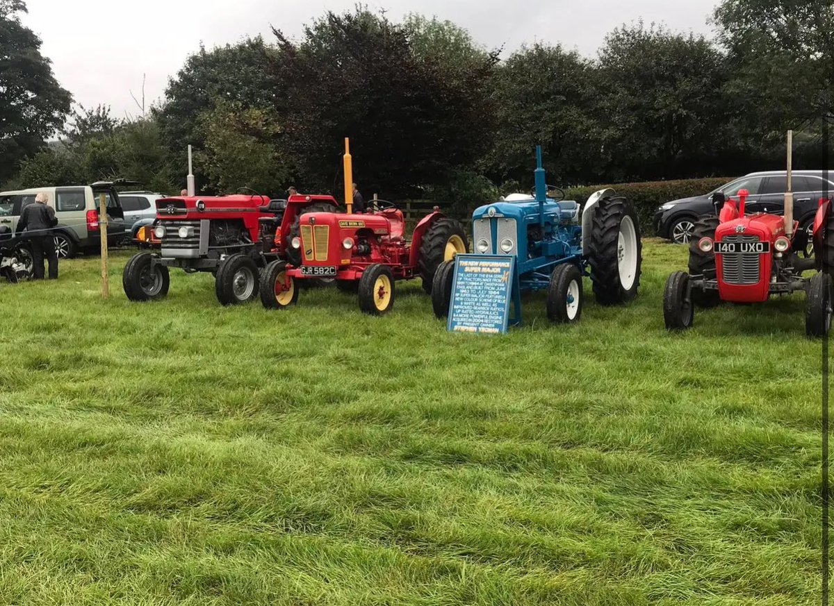 Kildale Show tweet media